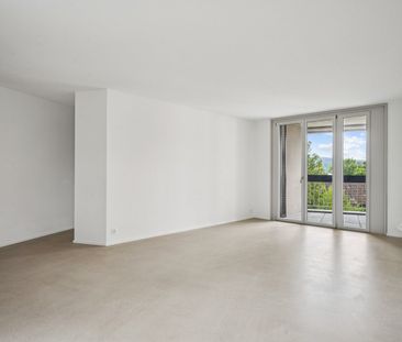 "Leben Am Rebberg!" - Photo 5