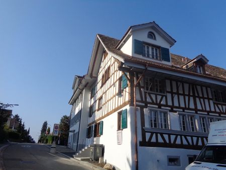"Eine schöne Wohnung mit viel Charme nähe Albisriederdörfli" - Photo 3