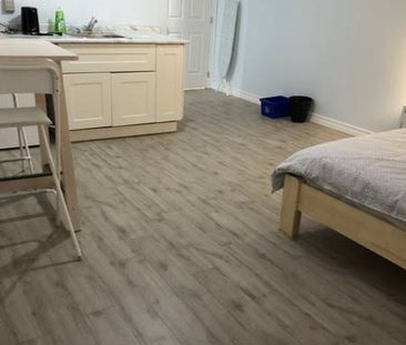 Available Now/Oct 1st Basement Bright furnished bachelor - Photo 3