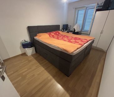 Entdecken Sie Adliswil! - Photo 4