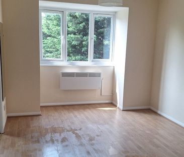 1 Bed Flat, Leaside Road, E5 - Photo 6