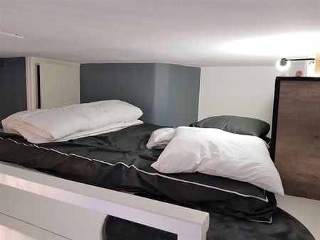 Location Appartement 1 pièce 14m² GRENOBLE 38000 - Photo 4