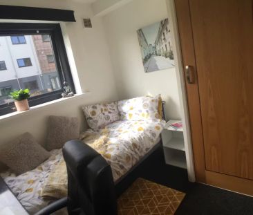 Ensuite Room (Gold-A) - Photo 4