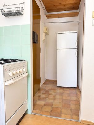 Pronájem bytu 1+1 32 m², Praha - Žižkov - Photo 1