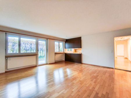 Grosszügige 4.5-Zimmer-Wohnung am Rand von Stein am Rhein - Foto 2