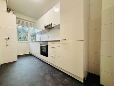 Steenlaan 58, Oud-Rijswijk, 2282BD, Rijswijk (Zh) - Photo 2