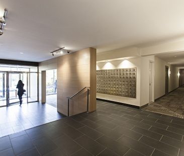 Appartement à louer - Montréal (Outremont) Appartement à louer - Mo... - Photo 6