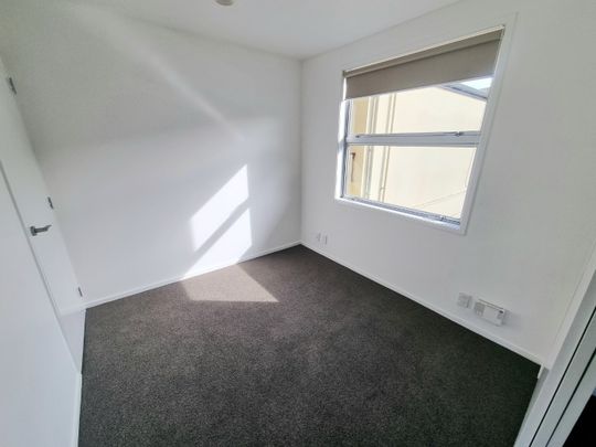 Albany - modern apartment fantastic location - Photo 1