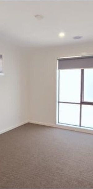 Donnybrook - Photo 1