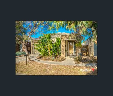 BURBANK EX DISPLAY IN REFLECTIONS ! - Photo 1