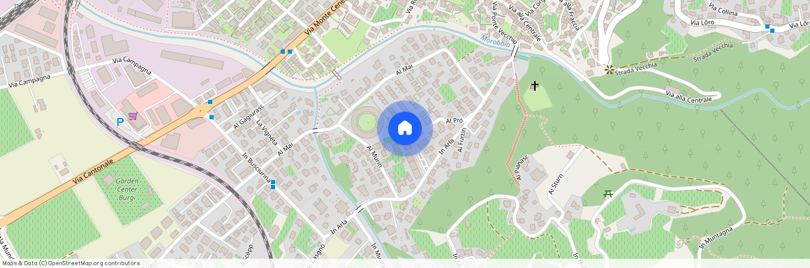 6528, Camorino, In Arla, 11g