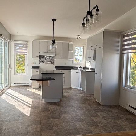 Logement à louer – 4 ½ – Sainte-Anne-des-Plaines - Photo 4