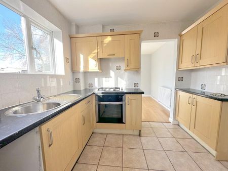 End of Terrace - Photo 5