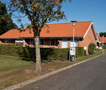 Landsbyer, Fjends - Foto 3