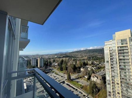 Lougheed Town Center North-East Corner unit with Mountain View (lougheed) - Photo 4