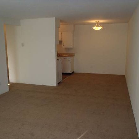 1 Bedroom Suite (Apartment Complex) - Photo 4