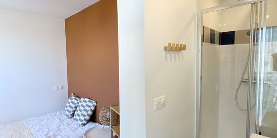 BRISOUT DE BARNEVILLE Colocation 3 chambres à Rouen - Photo 3