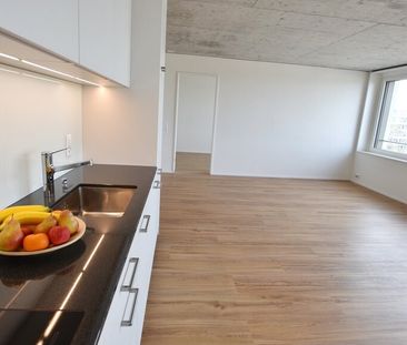 Appartement moderne de 2,5 pièces avec grande terrasse commune sur ... - Foto 5