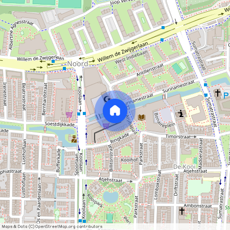 De Kooi, 2315 ZA, Kralendijkkade, Leiden