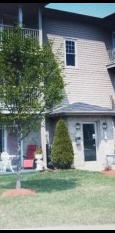 Beau grand 4 1/2 rue Gatien, près galeries 1er dec - Photo 1