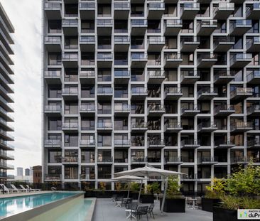 235, rue Young - 3 1/2 - Griffin Square, Griffintown à louer - Photo 1