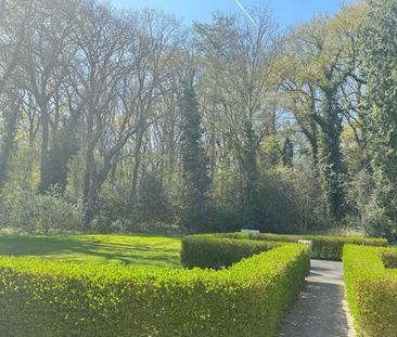 INSTAPKLAAR APPARTEMENT - Foto 5