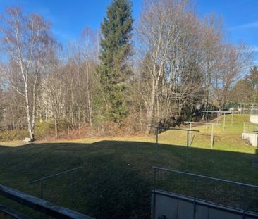 Eine großzügige und helle 2-Zimmer-Wohnung im ruhigen Chemnitz Bern... - Foto 3