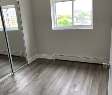 215 Clarence Street Apartments - Photo 2