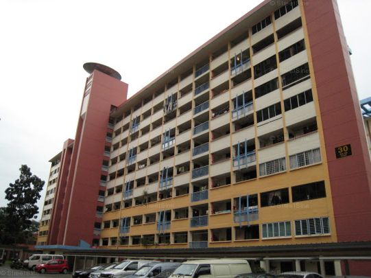 Blk 30 Balam Gardens (Geylang), HDB 3 Rooms - For Rent - Photo 1