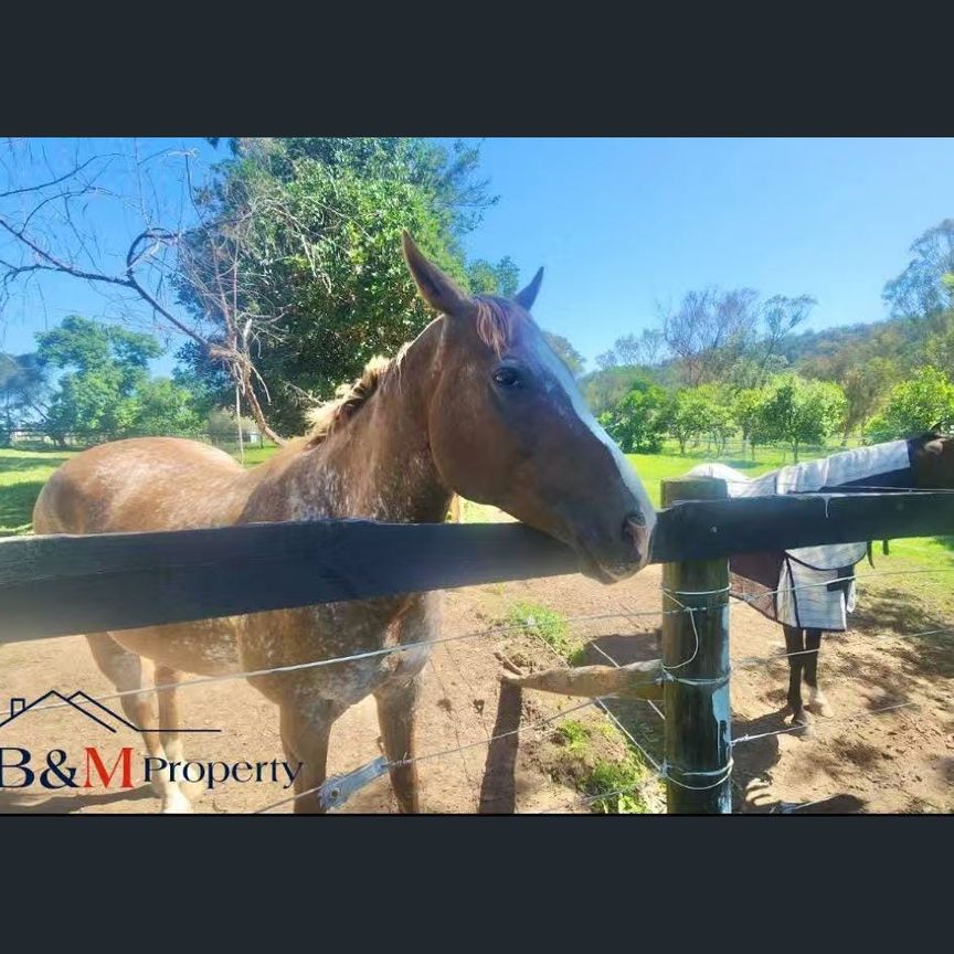 Two beds in a big Farm with amazing views from every area - Photo 1