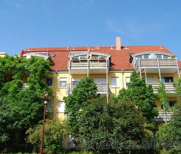 01279 Dresden - Tolkewitz , Theodor Friedrich Weg 2 WE 29 - Foto 2