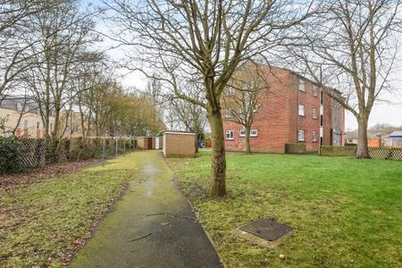 3 bedroom apartment to rent - Photo 5