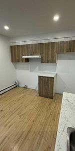 Grand 4 1/2 Rénové Rosemont - Photo 4