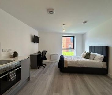 The Wheelhouse - Photo 3