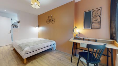 ALSACE LORRAINE Roommate 5 Bedrooms at Lyon 1er - Photo 2