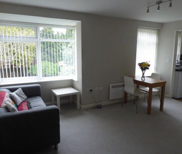 Studio to rent - Photo 6