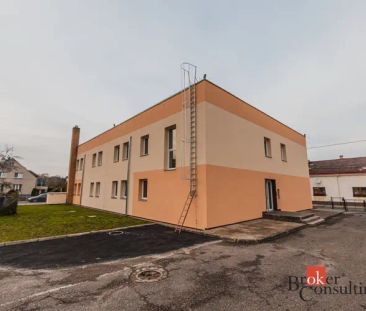 Pronájem bytu 1+kk 54 m - Fotografie 6