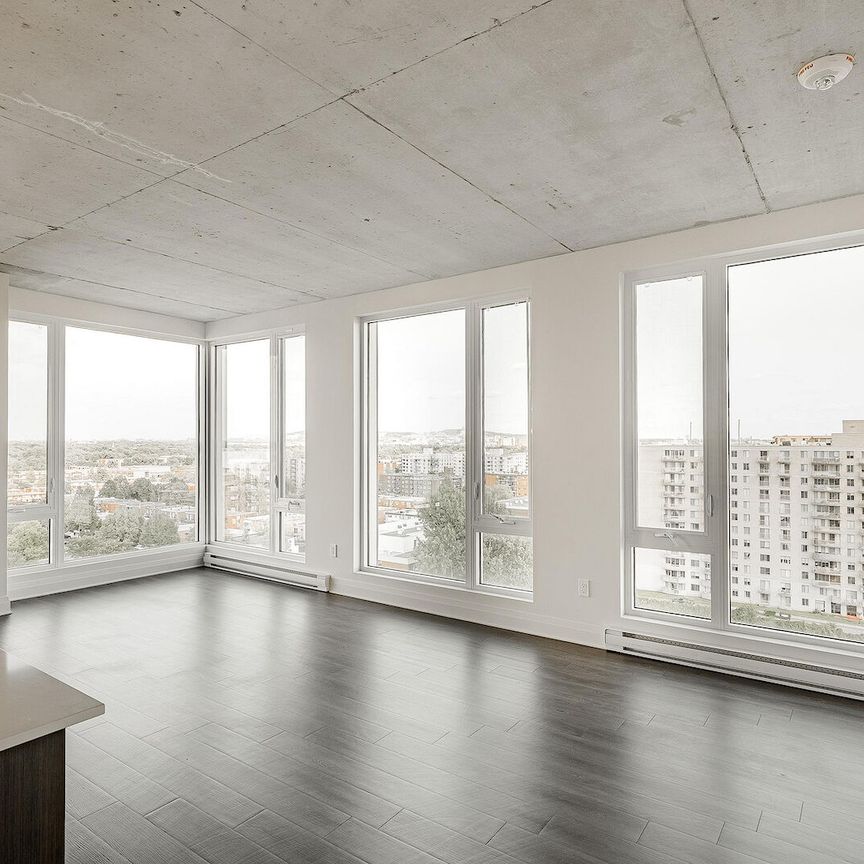 Monarc Collection - Photo 1