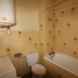 Location Appartement 1 pièce 17m² TOULOUSE 31300 - Photo 2