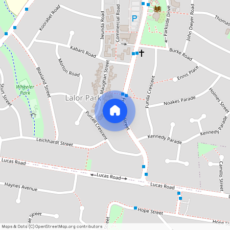 106 Freeman St, NSW 2147, Lalor Park