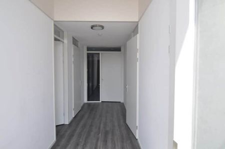 Dassenberg - Photo 4