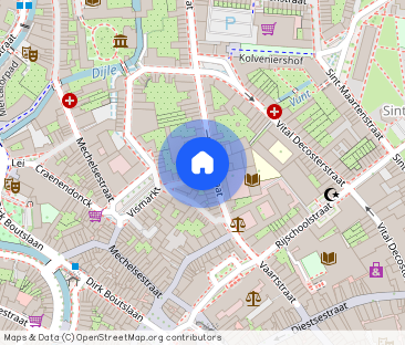 Gezellige woning te huur in Leuven - Photo 1