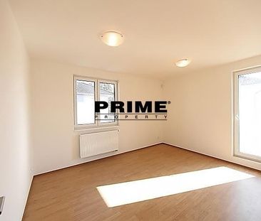 Pronájem rodinného domu 280 m², Pod Valem II. 958, Průhonice - Photo 6