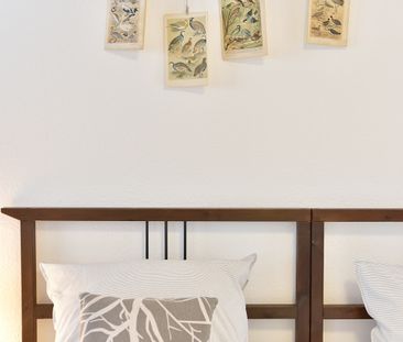 Home Office am Rursee/ Eifel: Ferienwohnung mit großer Sonnen-Terra... - Photo 4