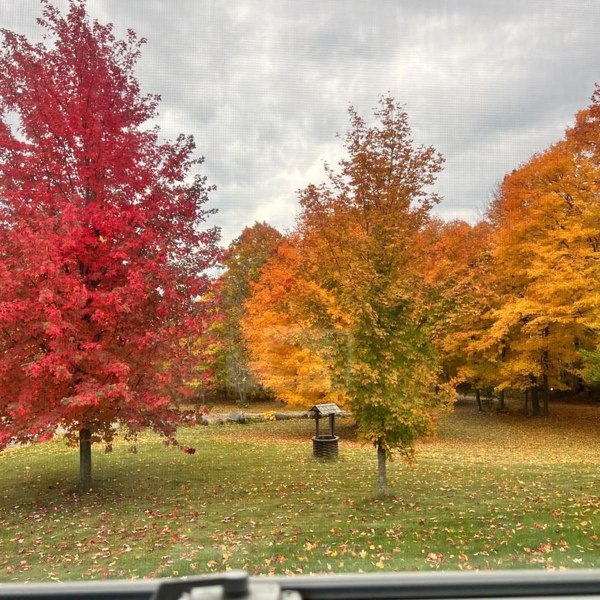 For Lease - 241 Deele Road, Cramahe, Ontario - Photo 1