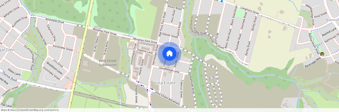 8A Christella Street, Flat Bush, Manukau City