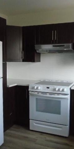 6 ½ rue Notre Dame Laval 5 électros Inclus LIBRE - Photo 1