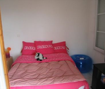 Location Appartement 1 pièce 37m² ANNONAY 07100 - Photo 3