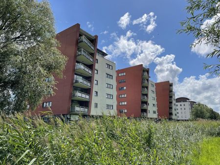 Lobeliuslaan - Foto 4