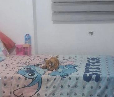 Piso de alquiler en Avenida Nehemias, 12, Santa Cristina - San Rafael - Photo 2